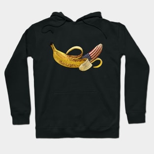 DC Riot-Capitol Hill-Banana republic Hoodie